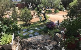 Cabana En La Naturaleza